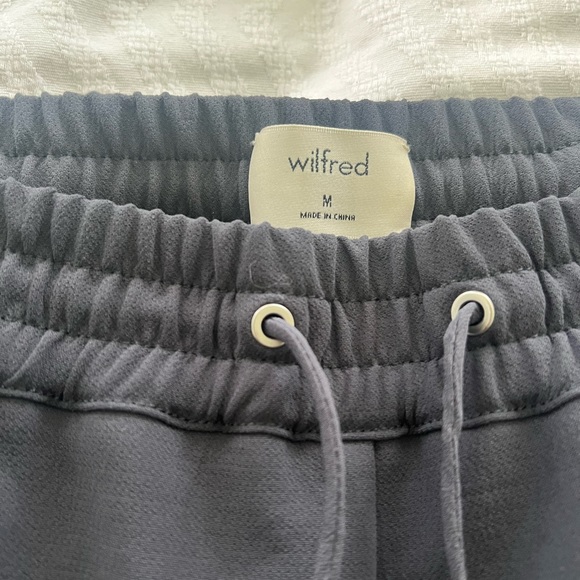 Aritzia Jogger - Picture 3 of 4